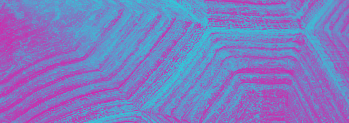 Teal and Purple Duotone Shell Image