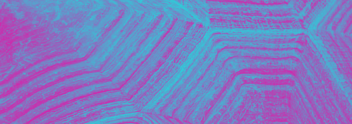 Teal and Purple Duotone Shell Image