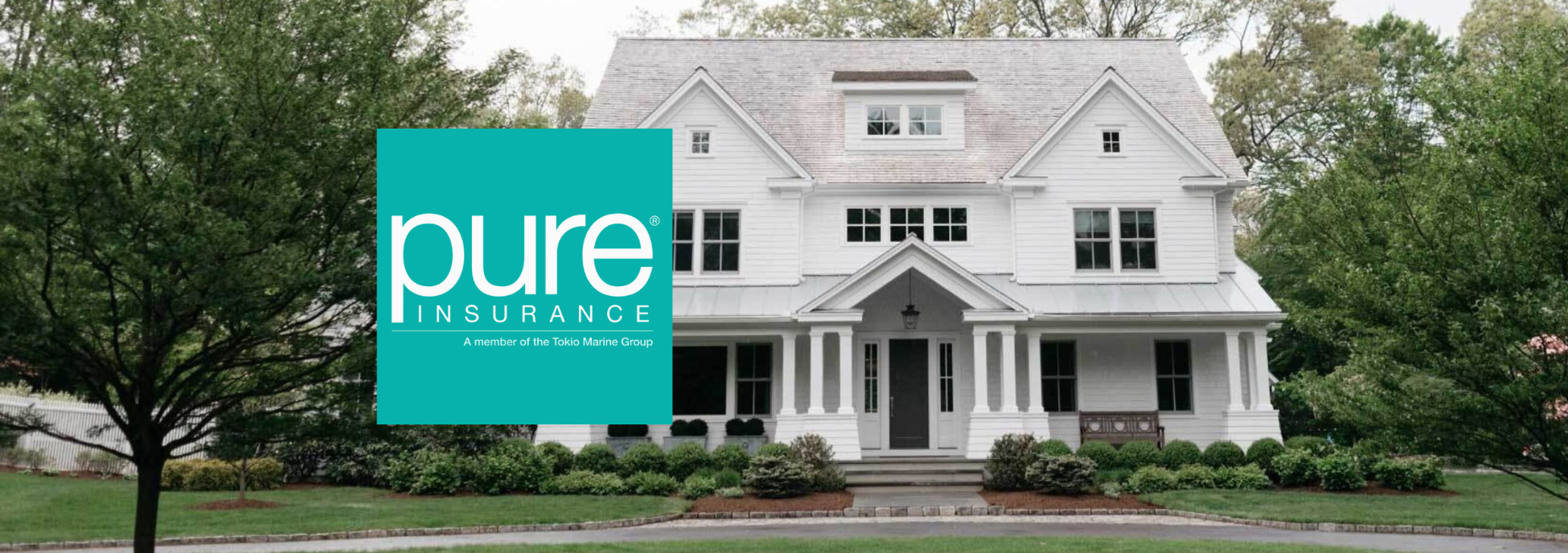 PURE Case Study Header Image 2